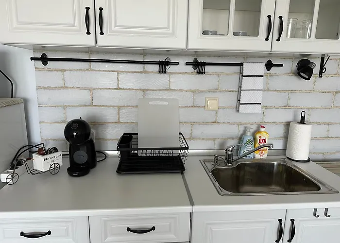 E32 Atia Chernomoretz 公寓 切尔诺莫雷茨