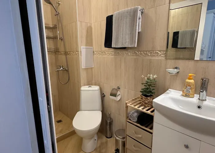 E32 Atia Chernomoretz 公寓 切尔诺莫雷茨